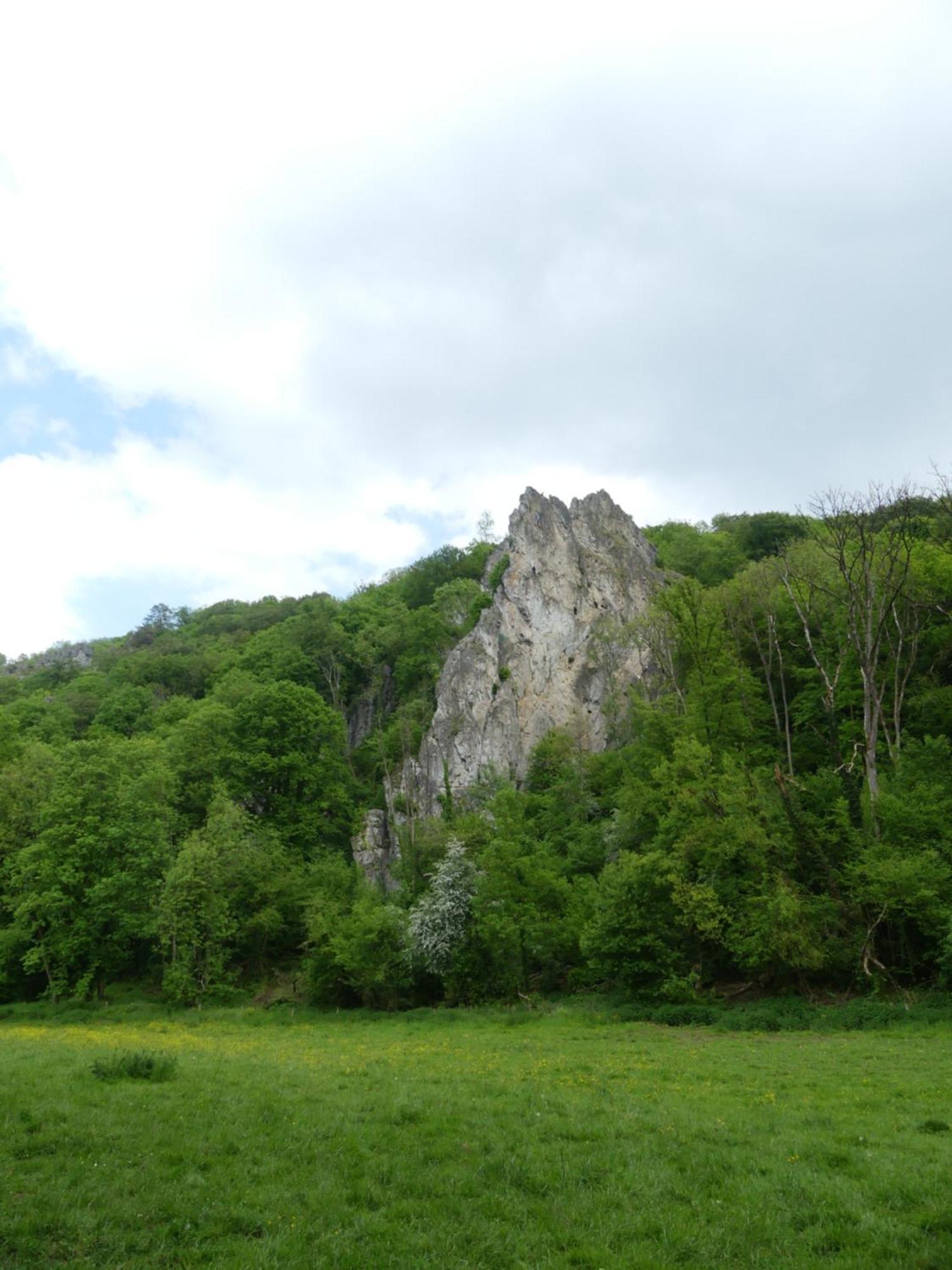 Au Bois Charmant Waulsort Exterior photo